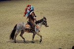 Quadrille - 00270